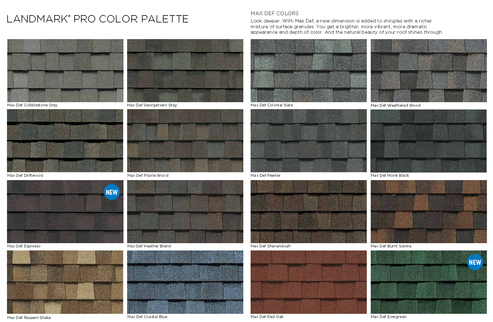 Landmark pro colors page